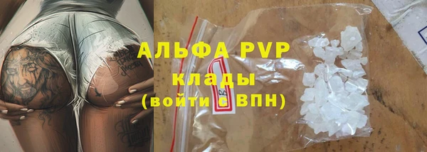 apvp Алзамай