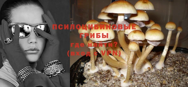 apvp Алзамай