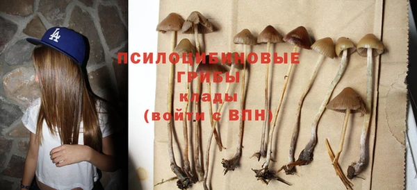 герыч Алексин