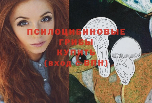 герыч Алексин